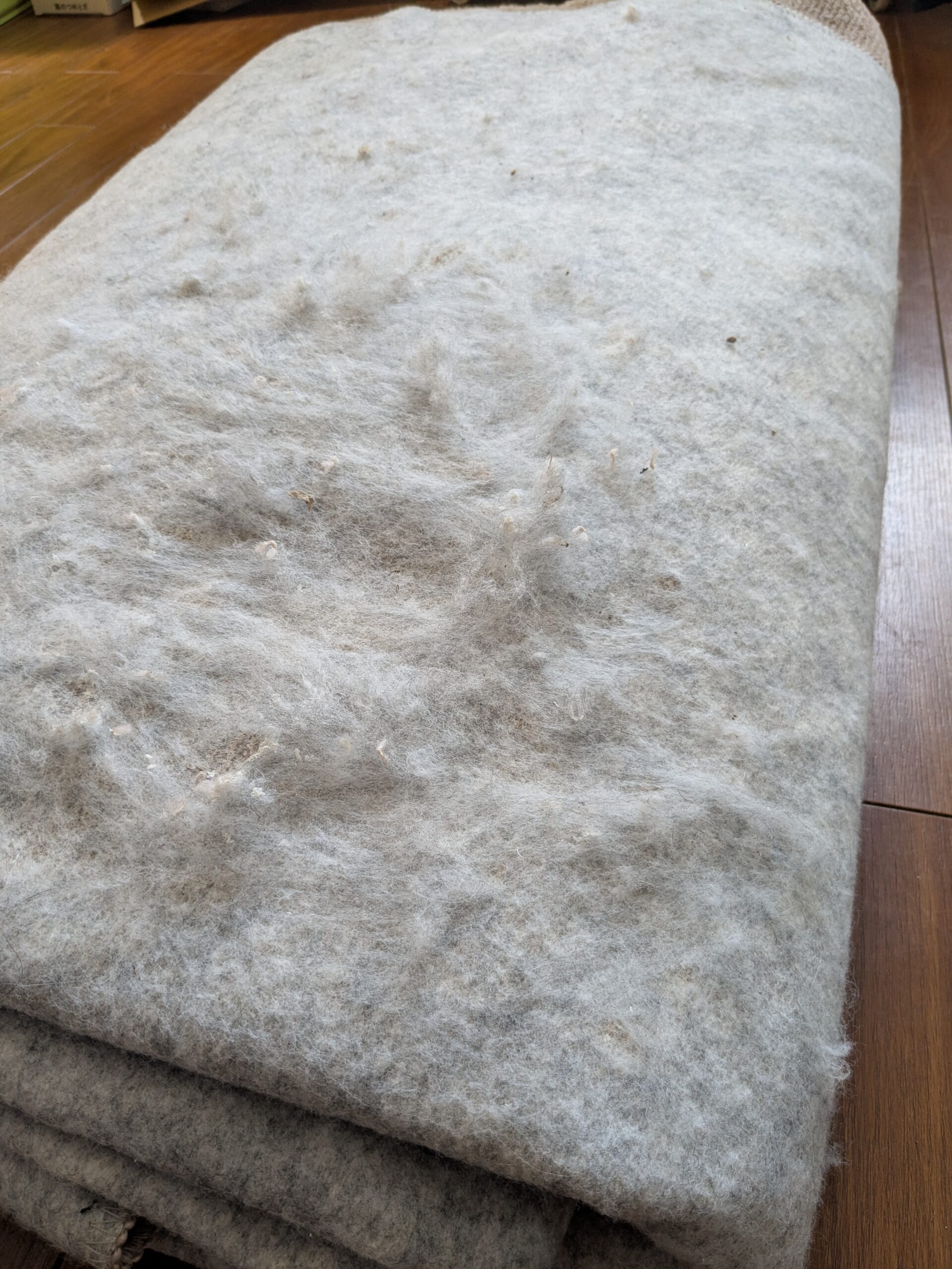 捨てるために畳んだじゅうたんの裏。猫の爪とぎでけば立った跡